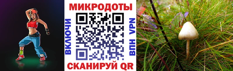 Галлюциногенные грибы мухоморы  гидра ONION  Печора 